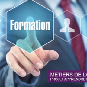 Job surveys in the Training sector