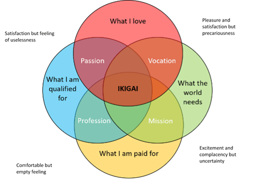 ikigai plan